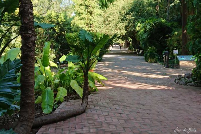 Botanico Valencia