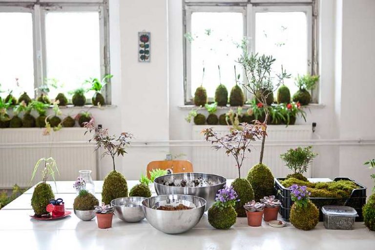 ikebana