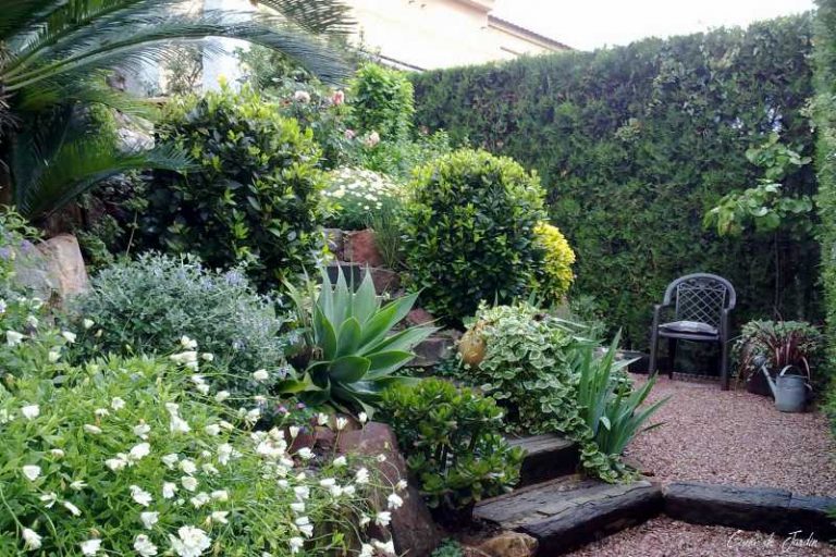 mi jardín