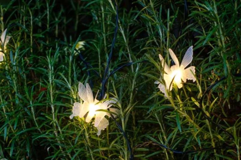 mariposas de luz