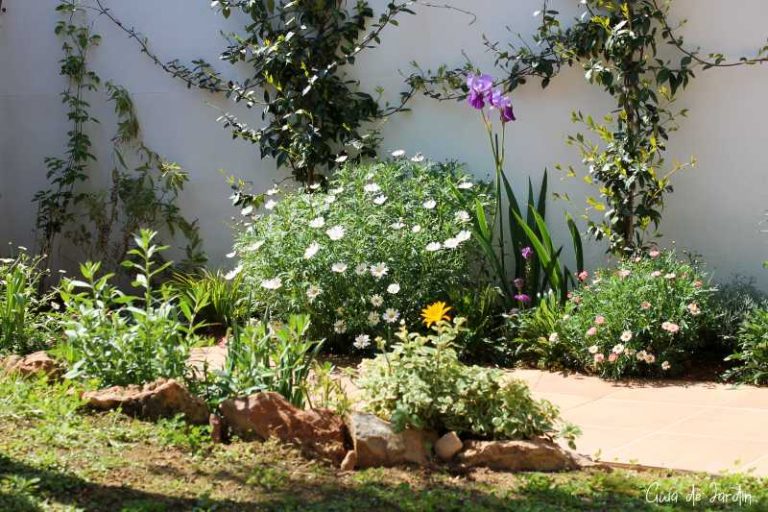 mi jardín mediterráneo en primavera