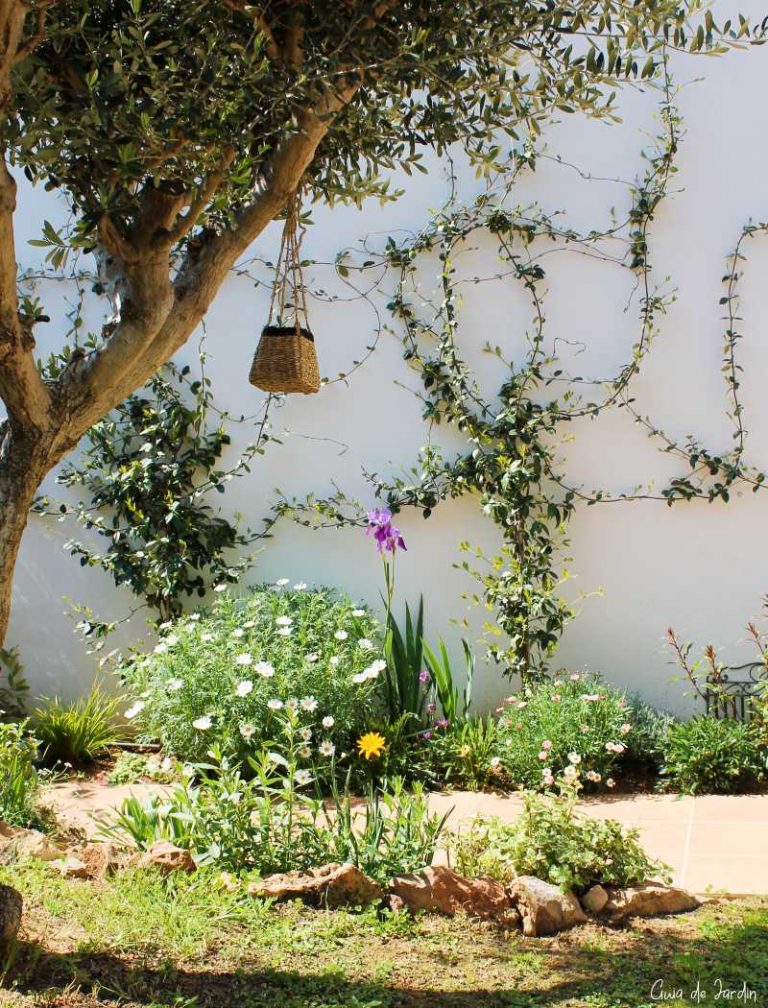 pequeño jardín