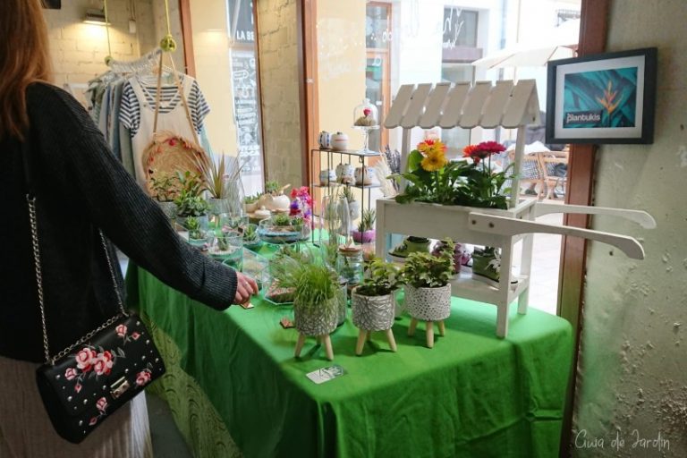 detalles con plantas