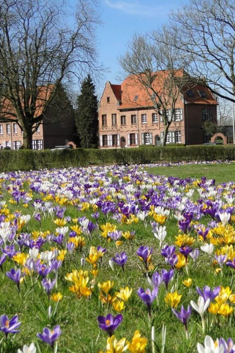 Green City Beringen