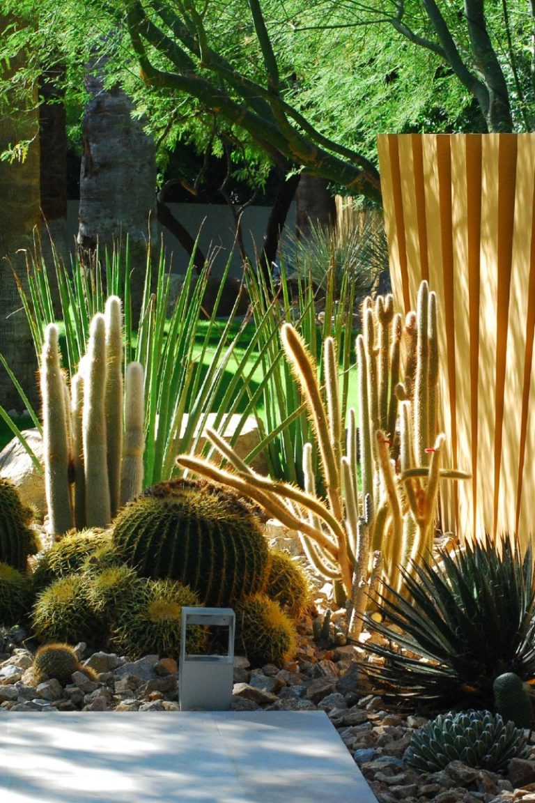 jardín Steve Martino