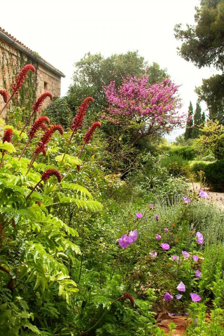 Sparoza - Asociación de Jardines Mediterráneos
