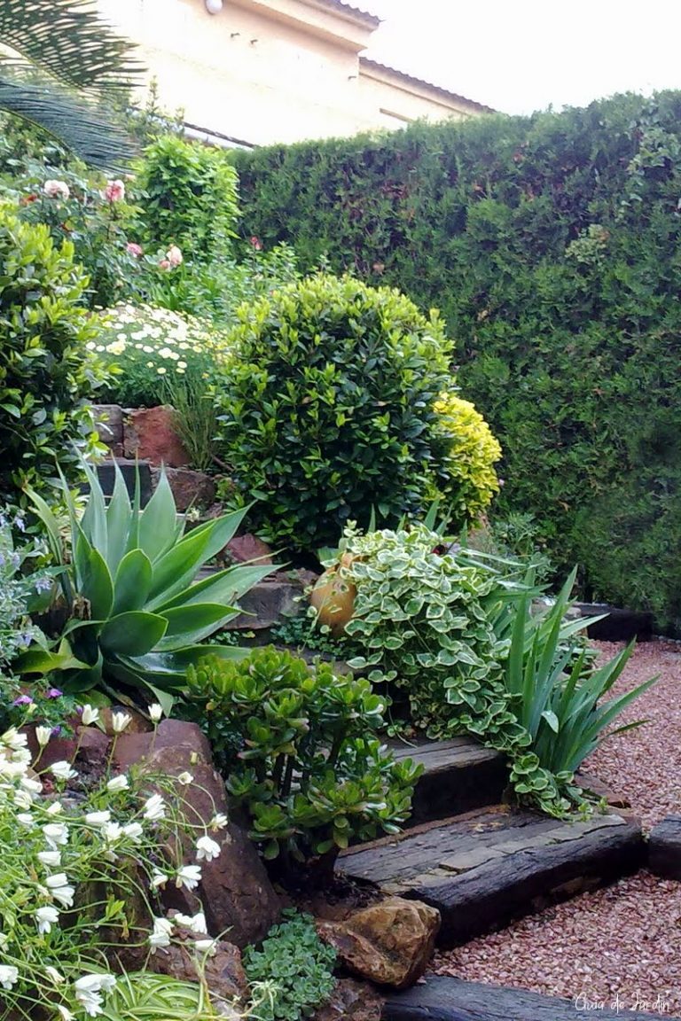 flores para un jardin mediterraneo