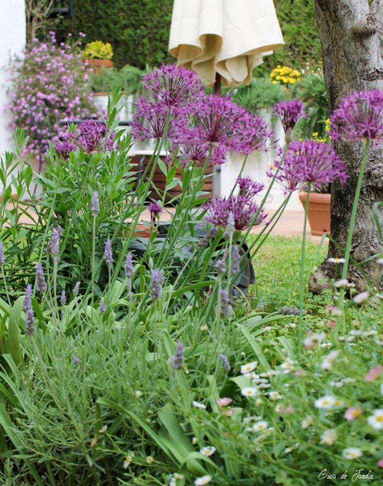 flores de primavera