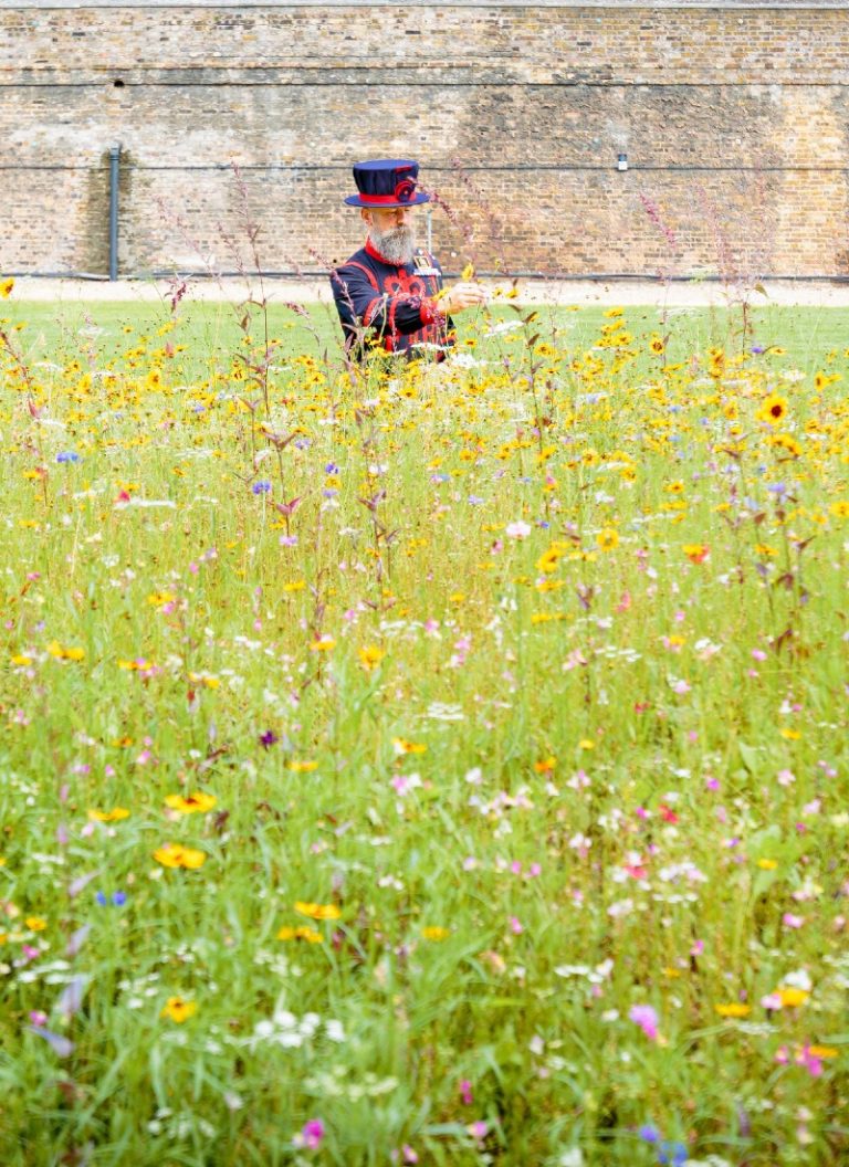 jardín de la Torre de Londres