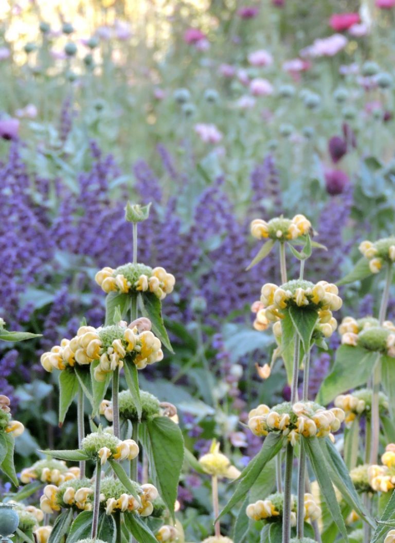 Reservoir Garden
