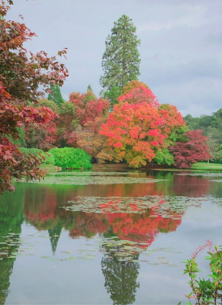 otoño en Sheffield Park