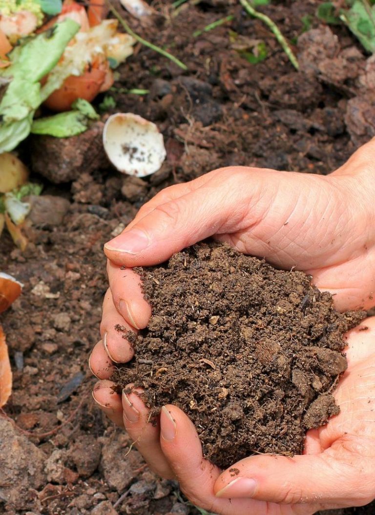 tipos de fertilizantes