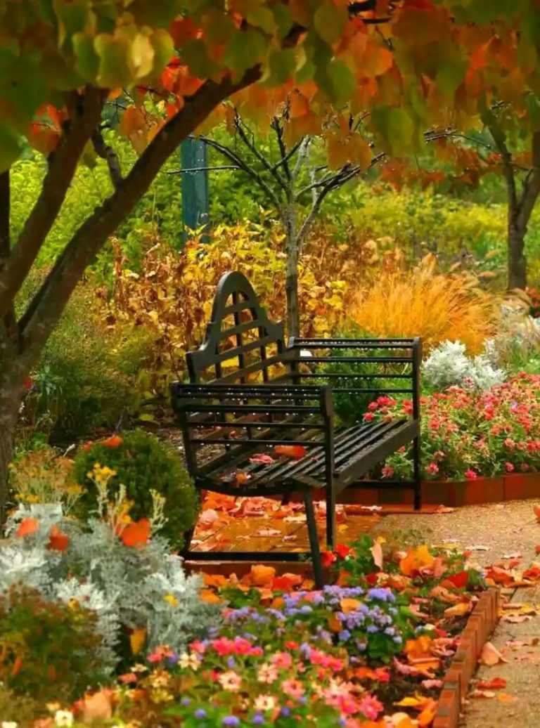 plantas que cambian de color en otoño