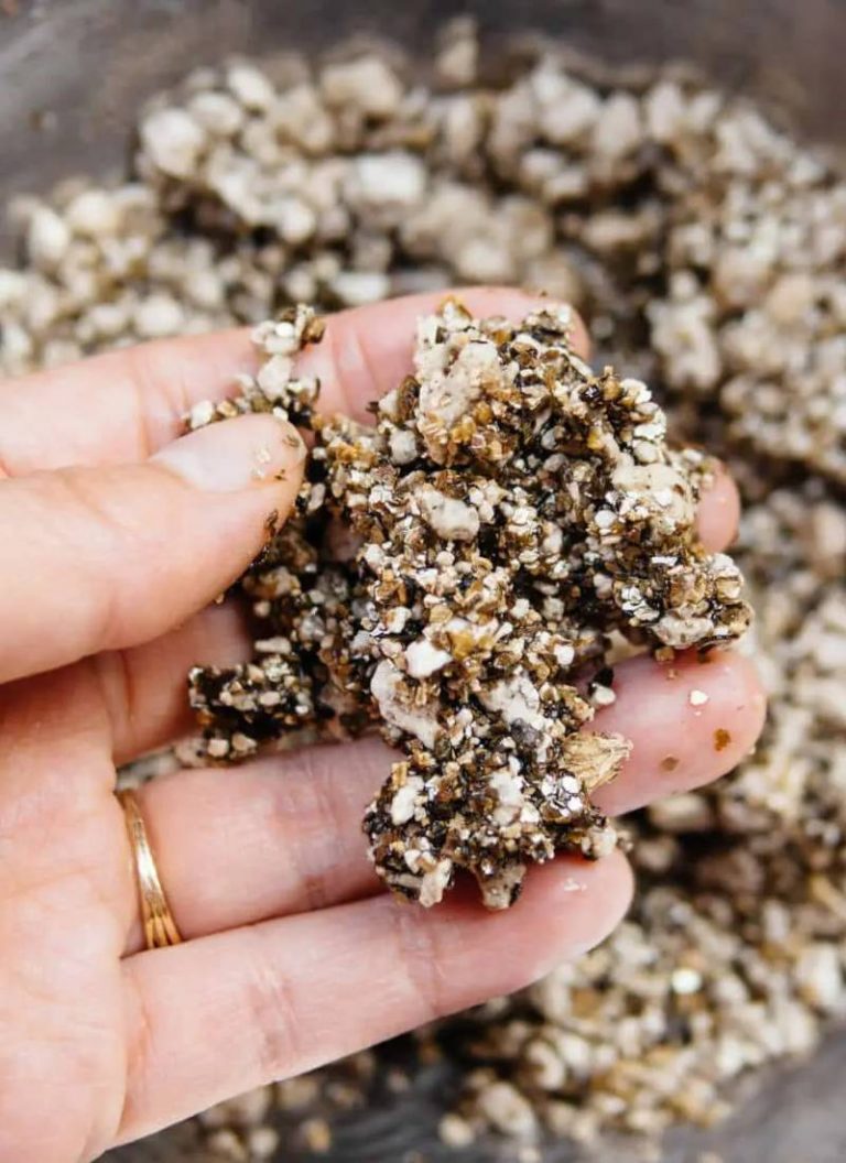 vermiculita