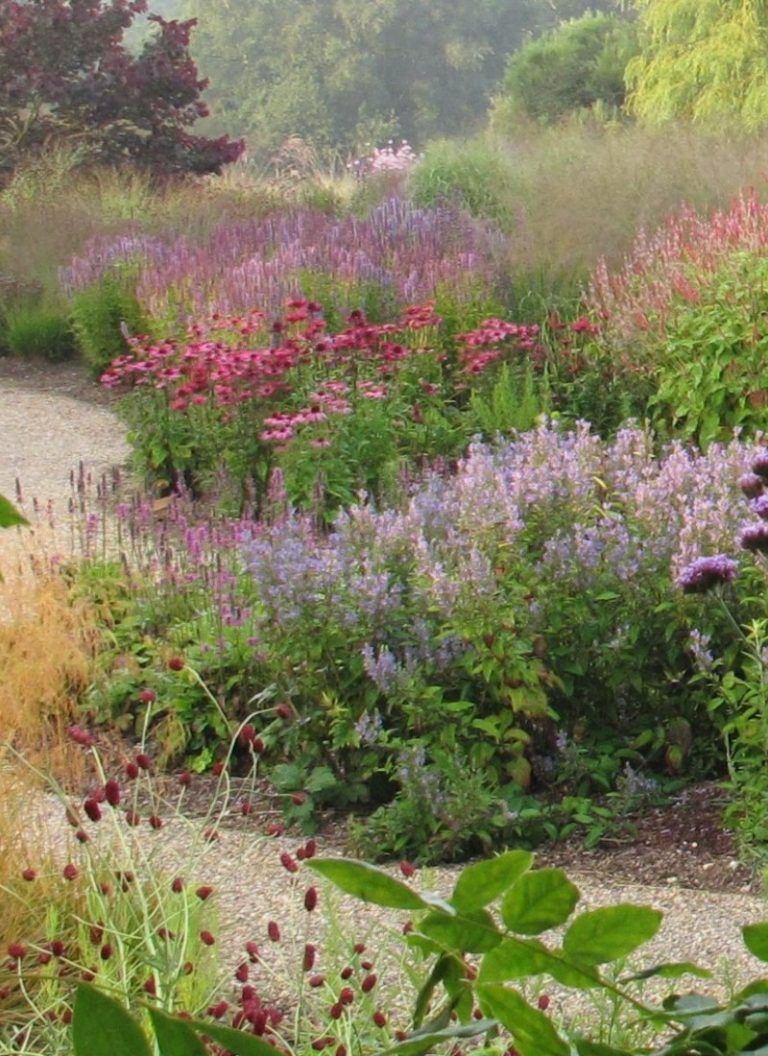 Plantas para jardines naturalistas