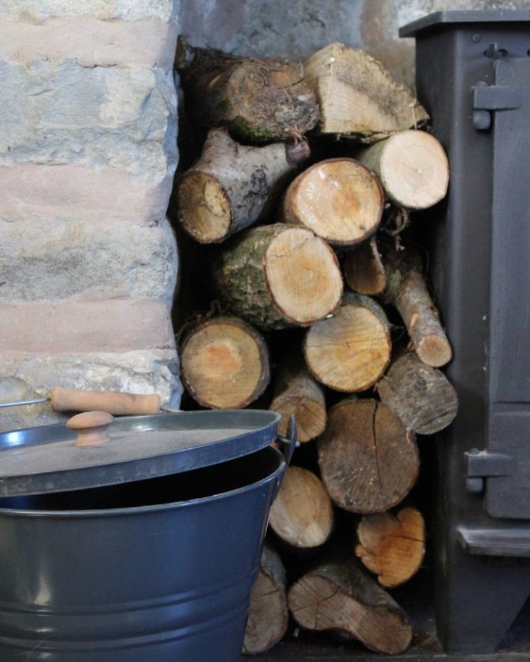 ceniza de madera para las plantas