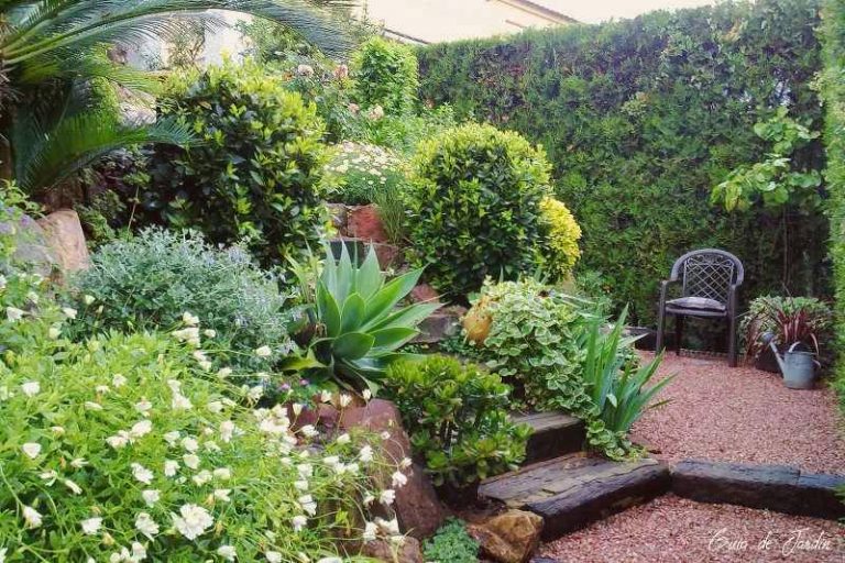 Exuberancia de plantas y grava
