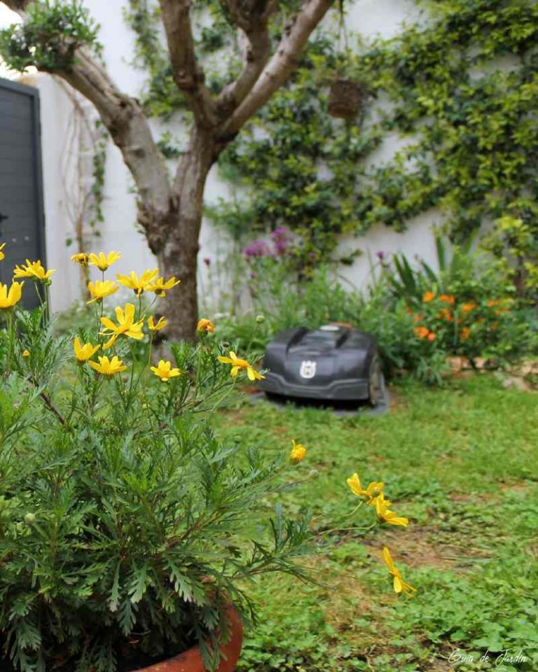 Robot cortacésped trabajando en el césped del jardín
