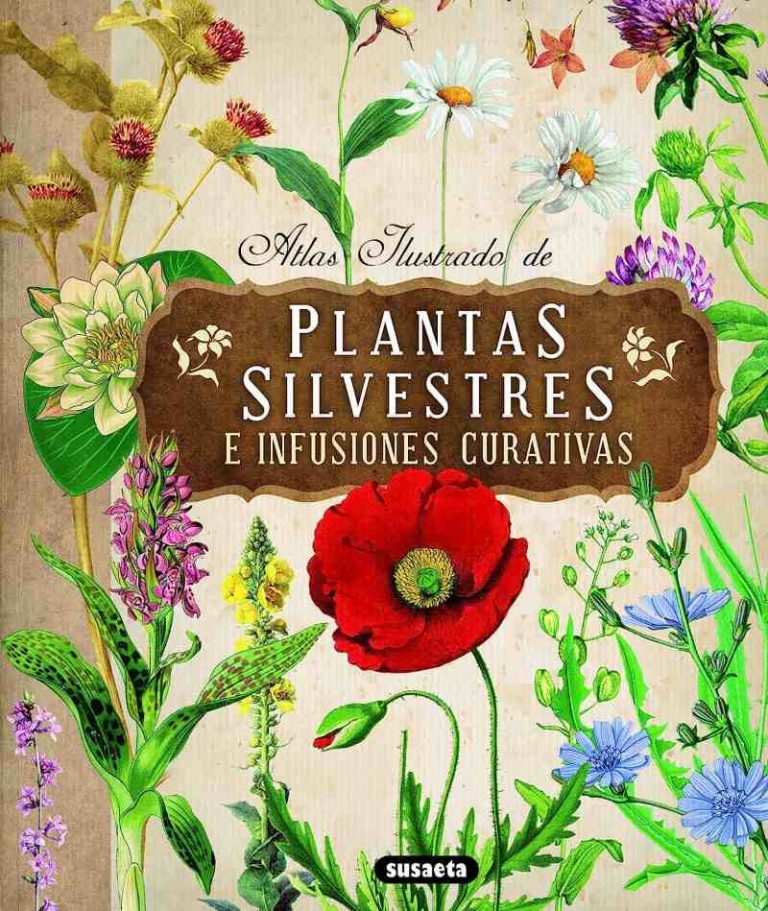 libro plantas silvestres y curativas