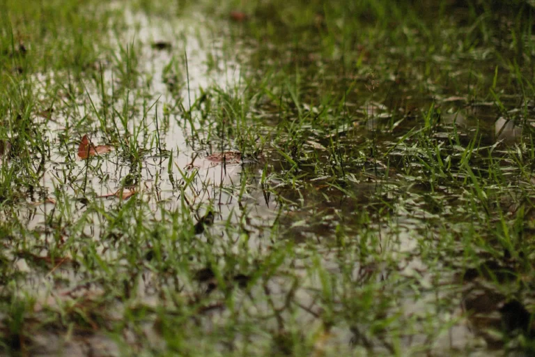 Charco en un jardín con suelo arcilloso después de la lluvia